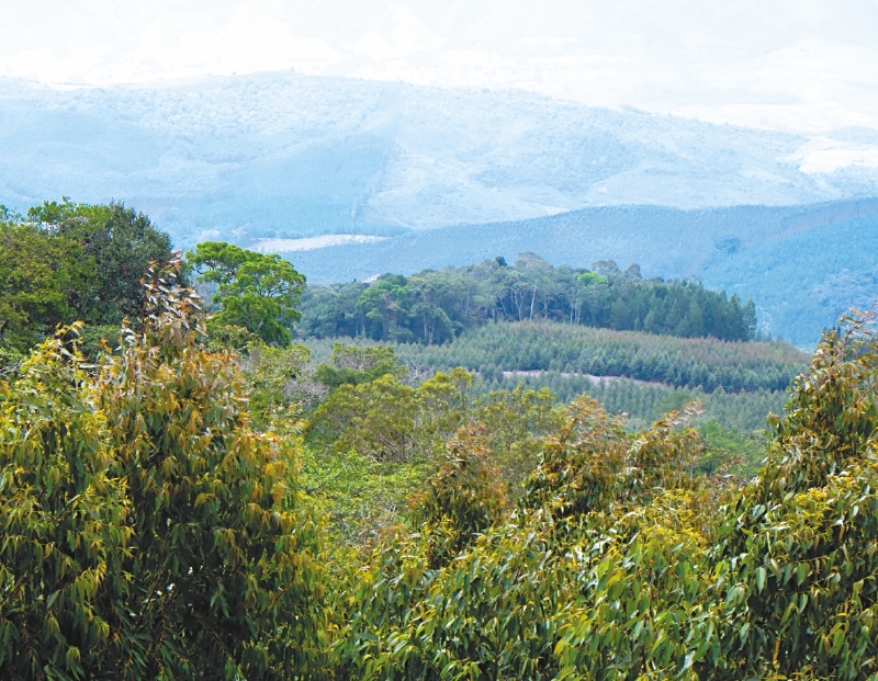 La inflación del 2019 terminó en 3,8%